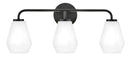 Medium Three Light Vanity - 85503BK - www.donslightouse.ca