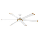 906964FMW-LDD Andros 64" LED Smart Fan www.DonsLightHouse.ca
