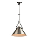 Brydon 1 Light Sconce/Pendant Black and Brushed Nickel - AC11242NB
