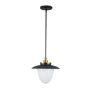 Dahlia 1 Light Pendant 15", Black - AC11905BB