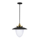 Dahlia 3 Light Pendant 20", Brushed Brass - AC11906BB