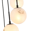 Nightfall Collection 21LT - AC12281BK