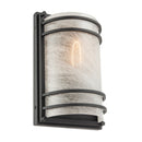 Keswick 1 Light Outdoor Wall Sconce 11", Black - AC8727BK