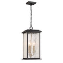Estate 3 Light Outdoor Pendant, Black, Brass with Rain Glassware - AC9275BK