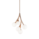 Rami - chandelier - C81505AGOP