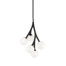 Rami - chandelier - C81505BKOP