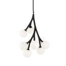 Rami - chandelier - C81507BKOP