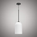 Stella Pendant CP5613-BK-WH