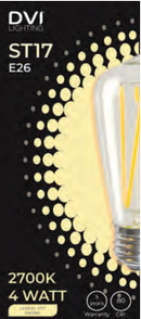 LED Bulb  ST17 Clear E26 base