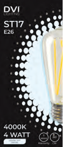 LED Bulb  ST17 Clear E26 base