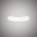 Disc 12-in DISC-12WH