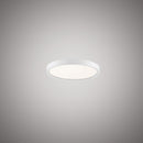 Disc 5-in  DISC-5WH