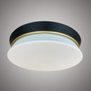 16-in Flush mount  FM8039SB/BK
