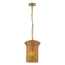 Kai 11-in Brushed Gold Socket Pendant - PD641011BG