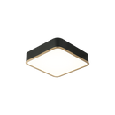 AINSLAY - flush mount - M10542BKAG