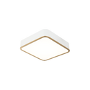 AINSLAY - flush mount - M10542WHAG