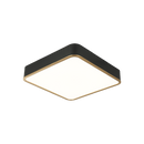 AINSLAY - flush mount - M10545BKAG
