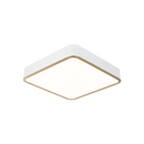AINSLAY - flush mount - M10545WHAG
