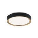 Alamus - flush mount - M10601BKGL