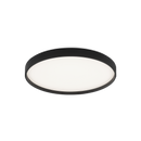 Alexandre - flush mount - M10802BK