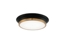 JAXX - flush mount - M11201BKAG