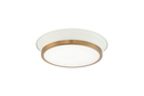JAXX - flush mount - M11201WHAG