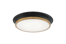 JAXX - flush mount - M11202BKAG
