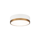 Trydor - flush mount - M14302WHAG
