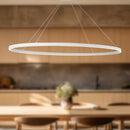 Ovale 53-in White LED Linear Pendant - LP79153-WH