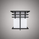 9-in exterior wall light  OW0307P