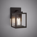 Terra 10-in wall light  OW3910-BKCL