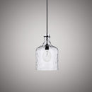 Hazel 7-in Pendant P1007-CL-BK