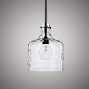 Hazel 12-in Pendant P1012-CL-BK