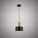 Alpine 8-in Pendant P1402AB/BK