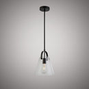 Dakota Pendant  P1420BK
