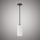 Blake Pendant  P1850-1BKWH