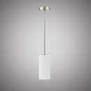 Blake Pendant  P1850-1-BNWH