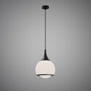 Maggie 14-in Pendant P6314-BK-WH