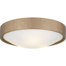QFL6790BGD Quoizel Flush Mount www.donslighthouse.ca