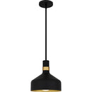 QPP6804MBK Quoizel Piccolo Pendant www.donslighthouse.ca