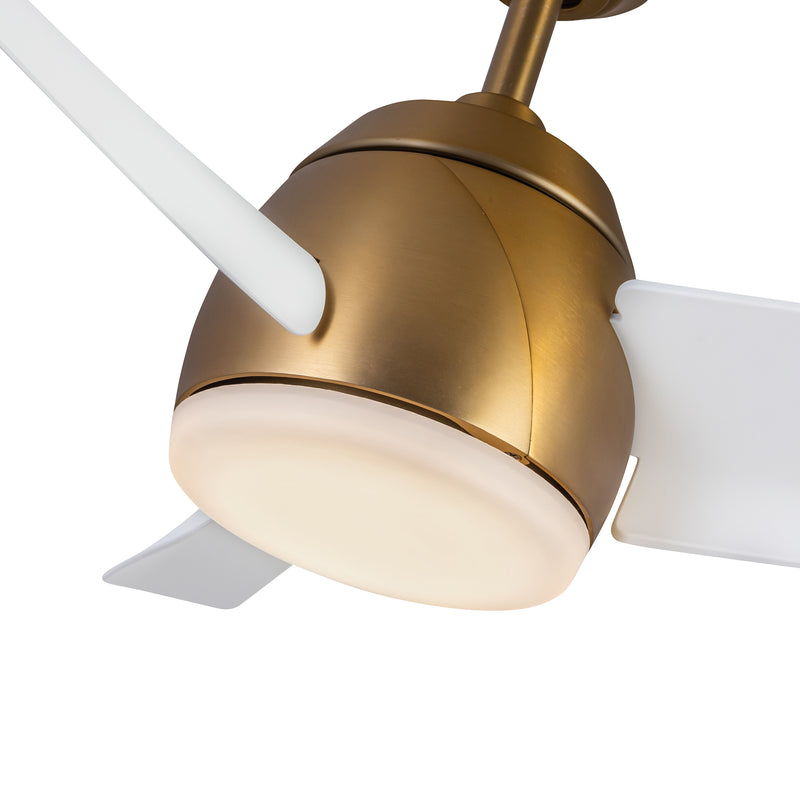 Thalia 54" Ceiling Fan - CF91954