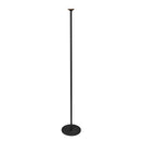 Valor 78-in Black LED Floor Lamp - FL12168-BK