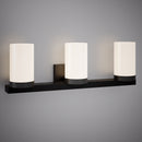 Peony 23-in Vanity Light VL3723-3-BK