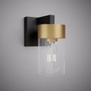 Aurora 1-Light Wall Sconce WS705-1AB/BK