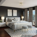 FDB-CC-GD room picture