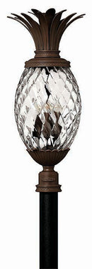 29703vi - outdoor chandelier Vintage Iron - www.donslighthouse.ca