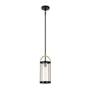 AC11511BB - Bonita Collection 1-Light Pendant Black and Brushed Brass - www.donslighthouse.com