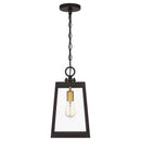 Amberly Grove - Mini pendant 1 light western bronze - AMBL1508WT
