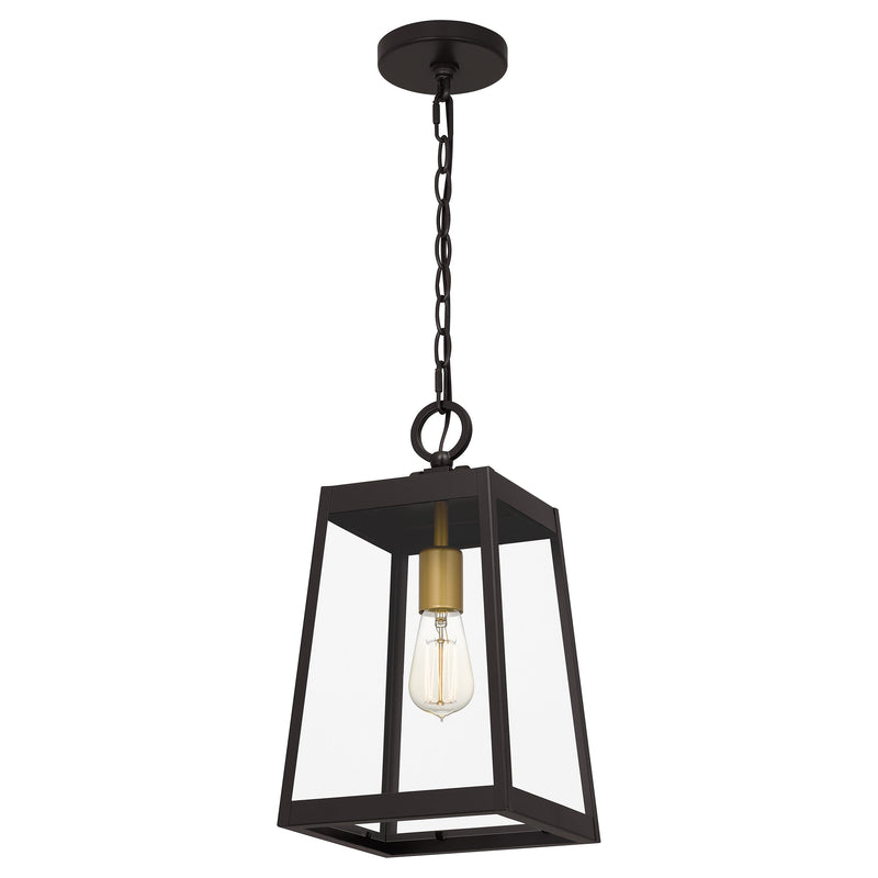 Amberly Grove - Outdoor hanging 1 light western bronze - AMBL1908WT