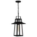 Devonport - Outdoor hanging 1 light matte black - DEV1910MBK